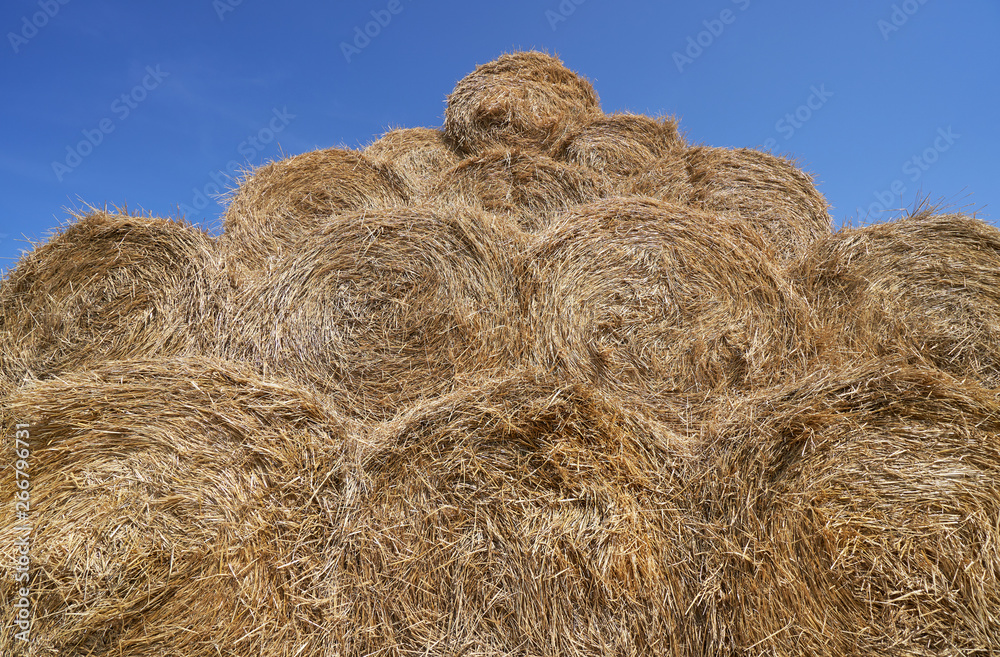 Big haystack from round bales laid in the form of a pyramid against the blue sky Big haystack from round bales laid in the form of a pyramid against the blue sky