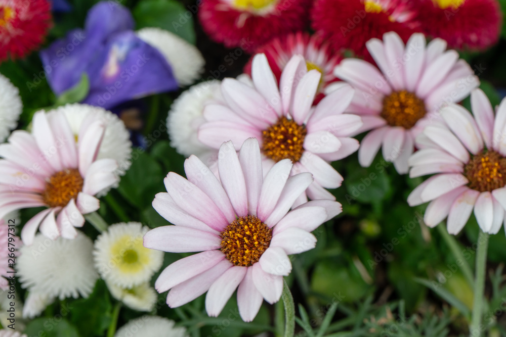 bunch of flowers