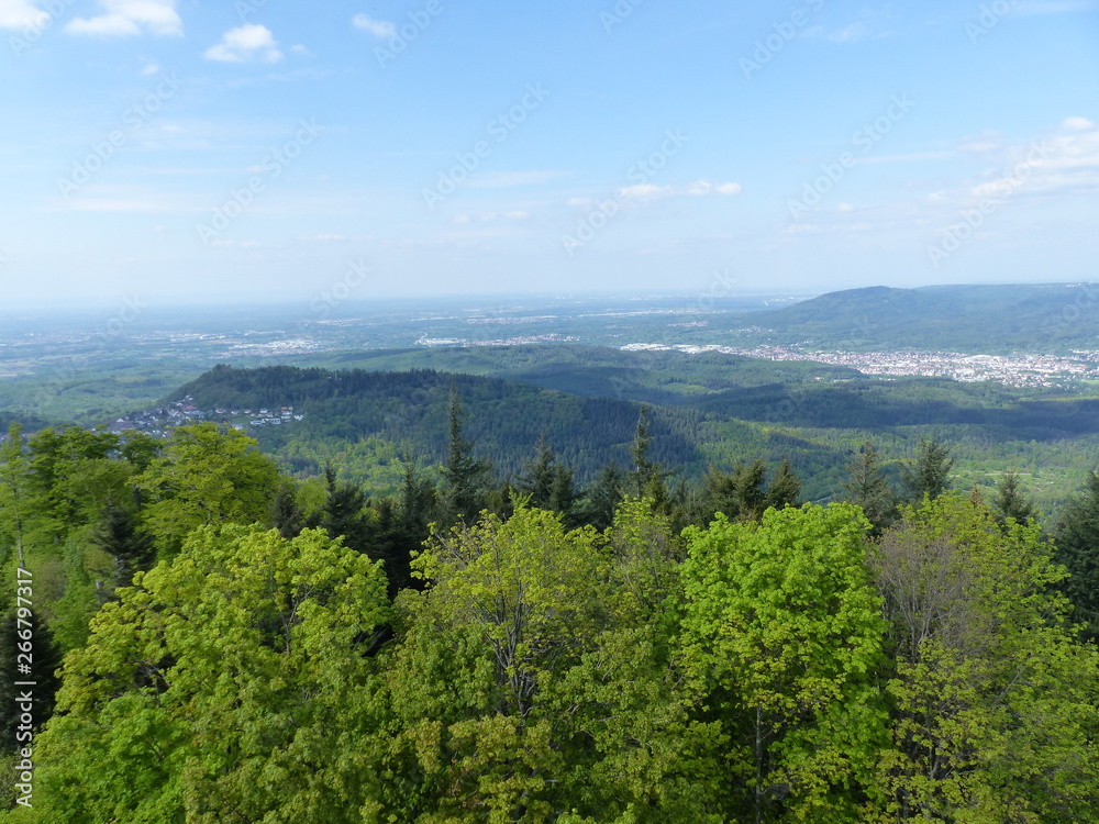 Fototapeta premium Parapente