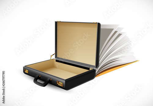 Business suitcase - finance concept - briefcase open and empty