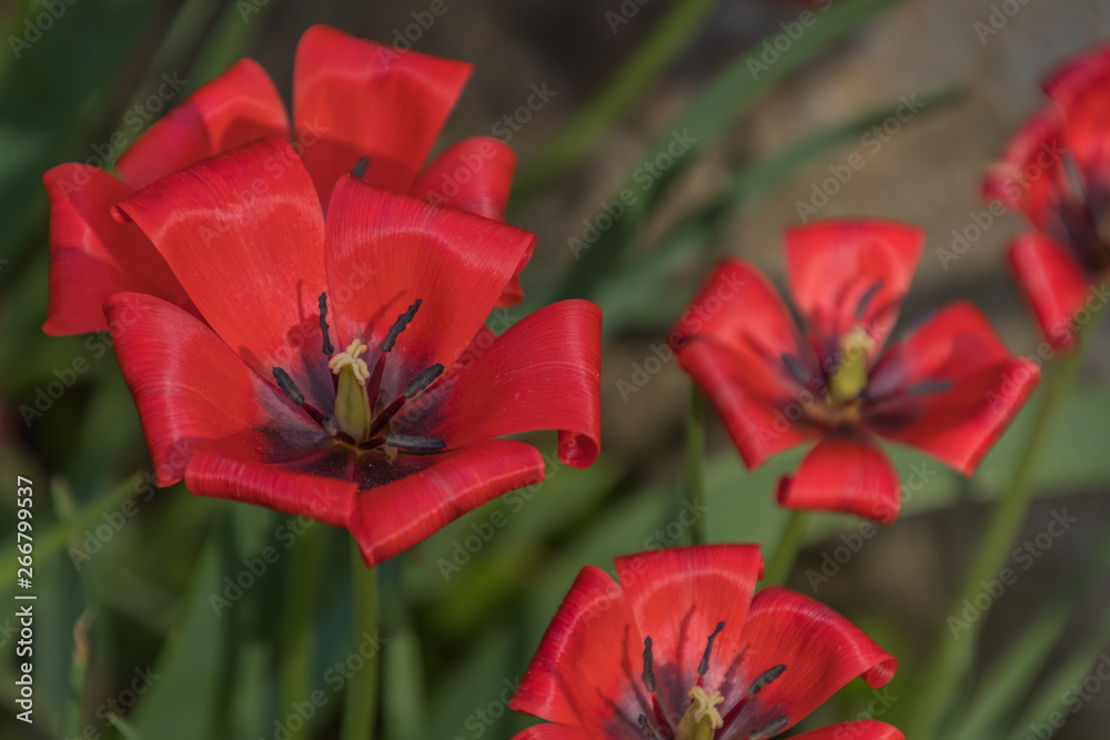 Botanischer Garten