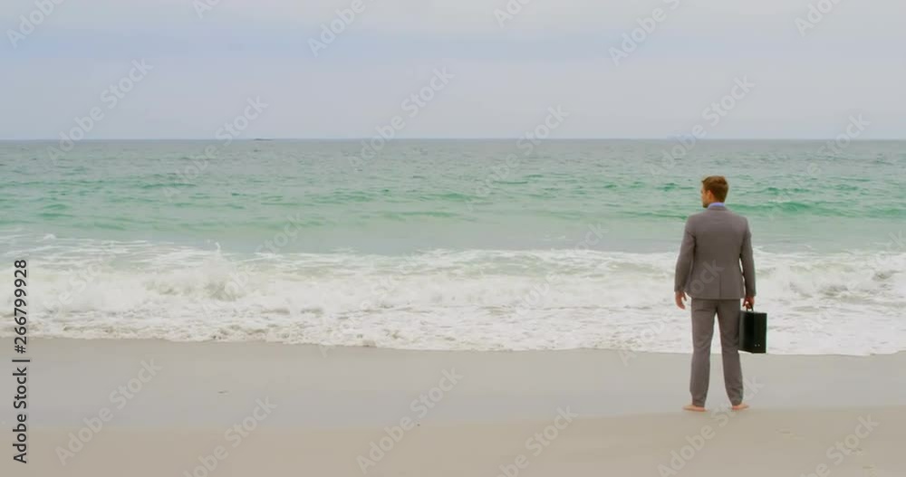Rear view of Caucasian Businessman standing with briefcase on the beach 4k Rear view of Caucasian Businessman standing with briefcase on the beach 4k