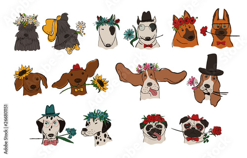 Collection Of Dog Couple Portraits