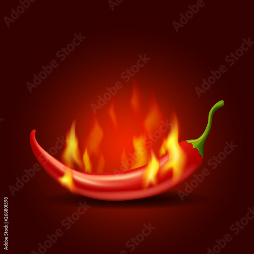 Burning chili pepper with flame on red background, bitter spicy hot