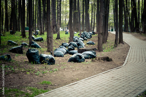 plastic trash bags lying on the ground among the trees
