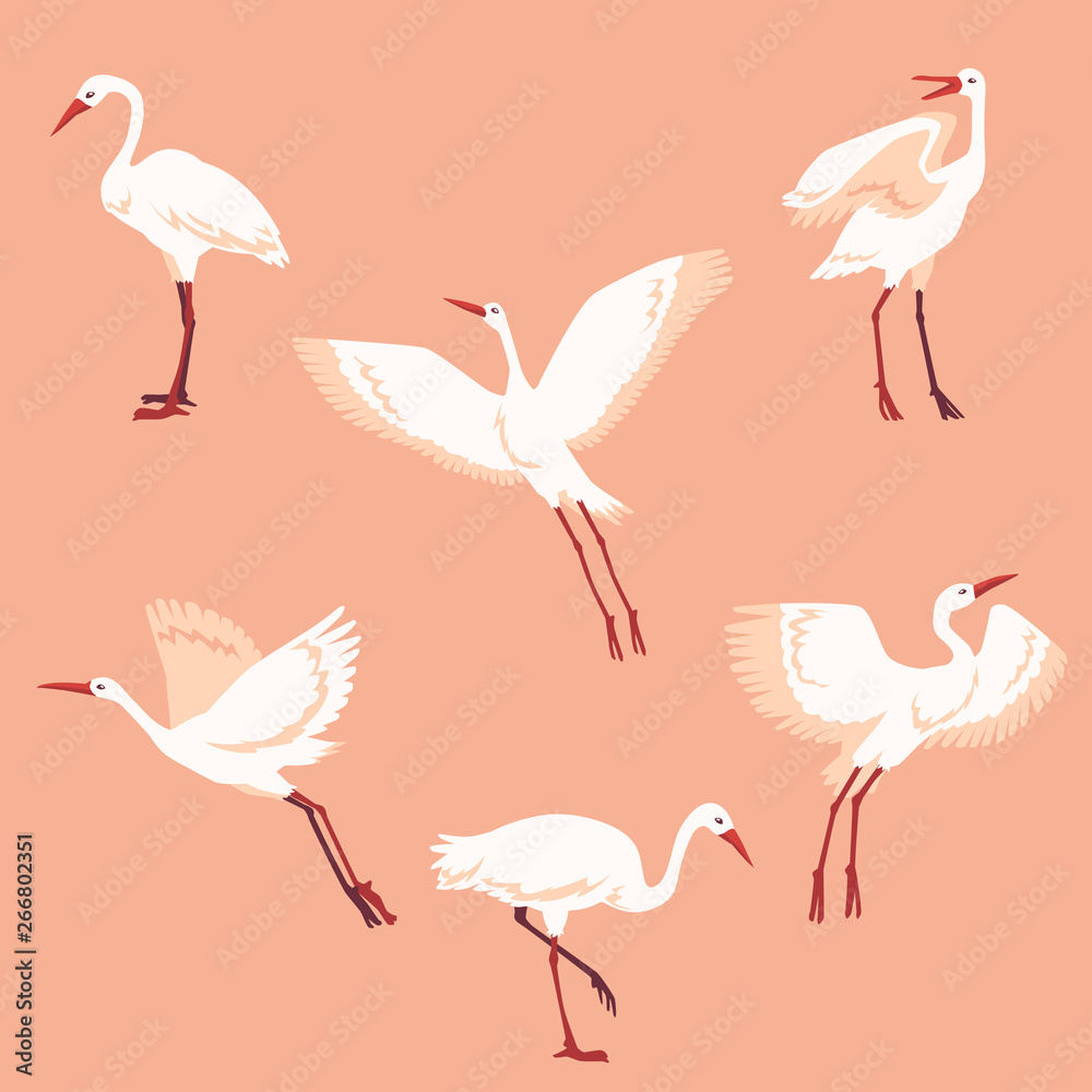 Obraz premium Vector hand drawn white crane birds set