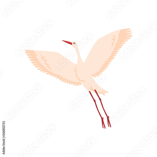 Vector hand drawn white crane bird takes off