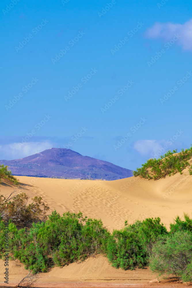 Sand Dunes on Grand Canary