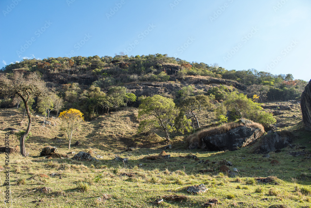 Naklejka premium mountain