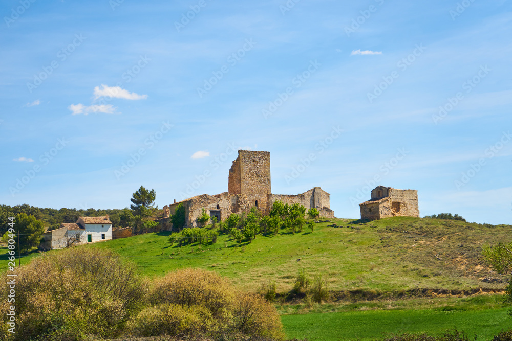 Landscape of an old ruined building in spring with fields full of brown and green colors