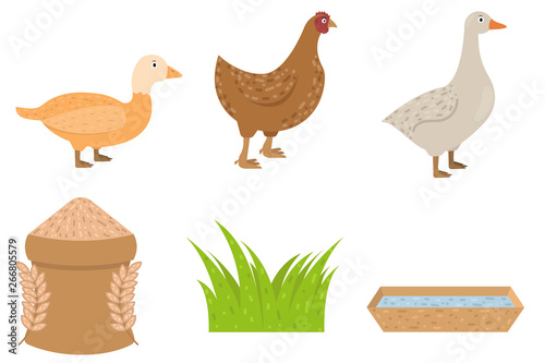 Duck, goose, chicken icons in flat style, food for poultry vector illustration