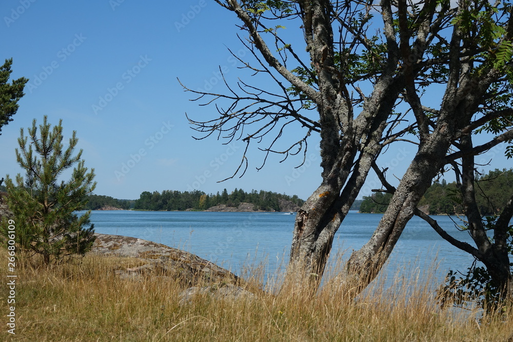 Schärenküste bei Stockholm