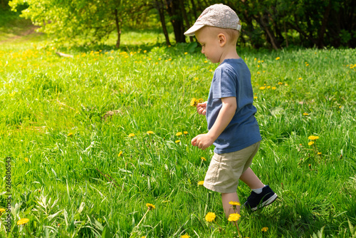 Little boy side view. He is picking dandelions in the field. Copy space, mocup