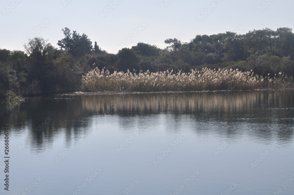 The beautiful natural Wetland Athalassas Lake landscape in Cyprus