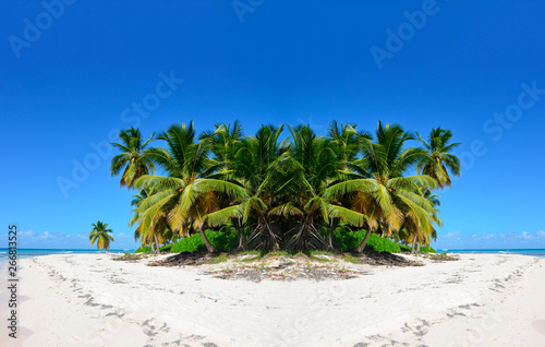Nice palm trees on a white sand beach, under a blue sky. Caribbean Sea coast
