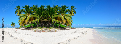 Caribbean sea and palms..  photo
