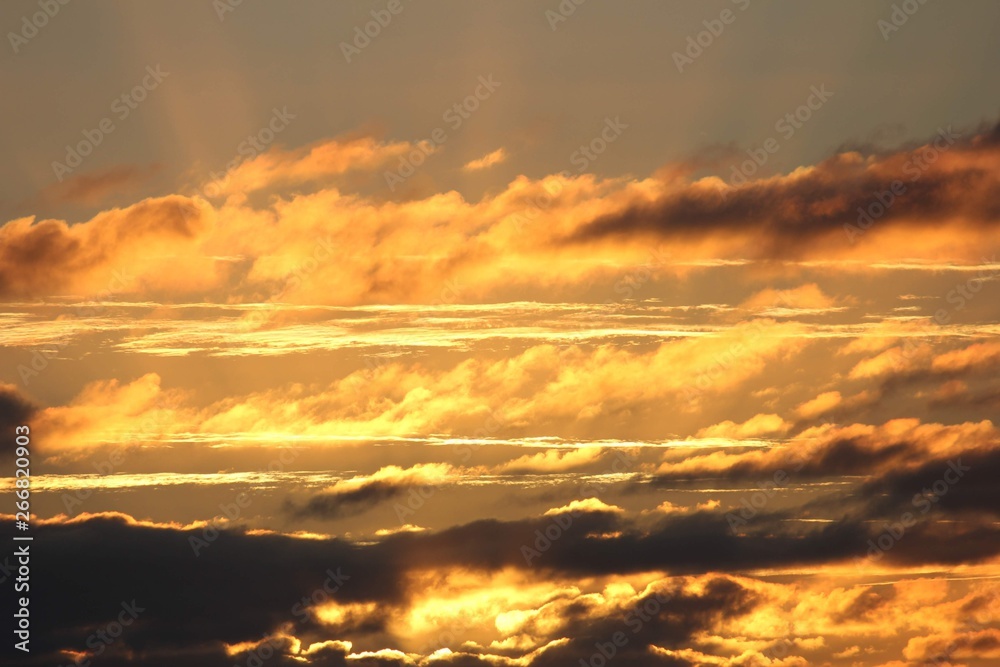 Fototapeta premium Valber Silva