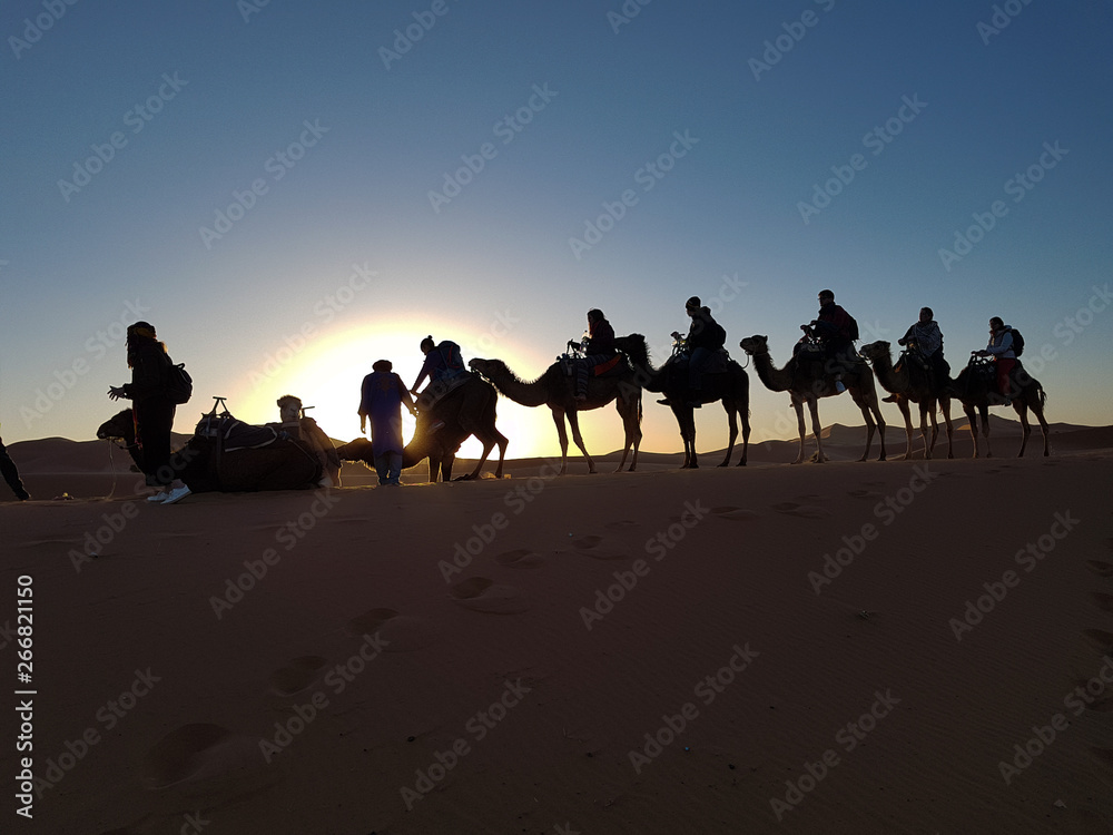 Fototapeta premium caravan in the sunrise