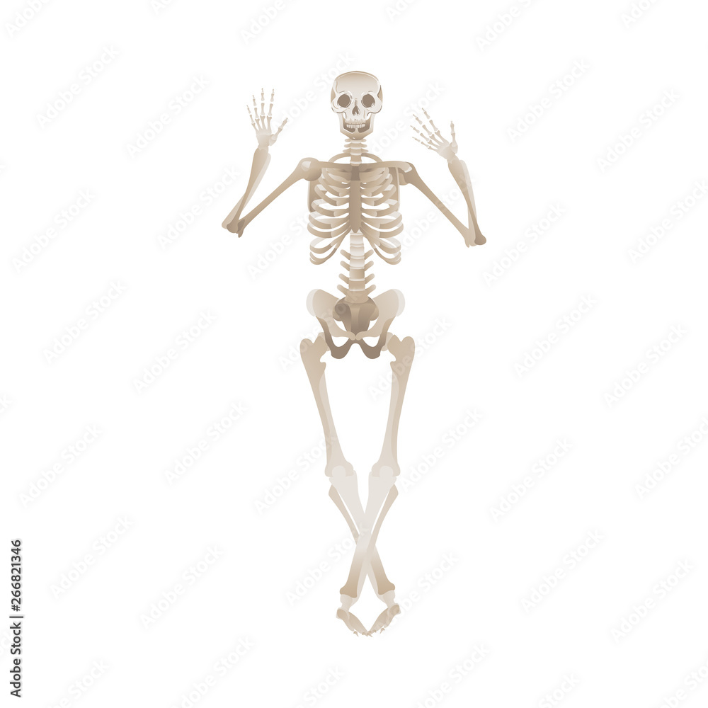 Cheerful skeleton dancing pose for Halloween or other party horror design vector. Cheerful skeleton dancing pose for Halloween or other party horror design vector.