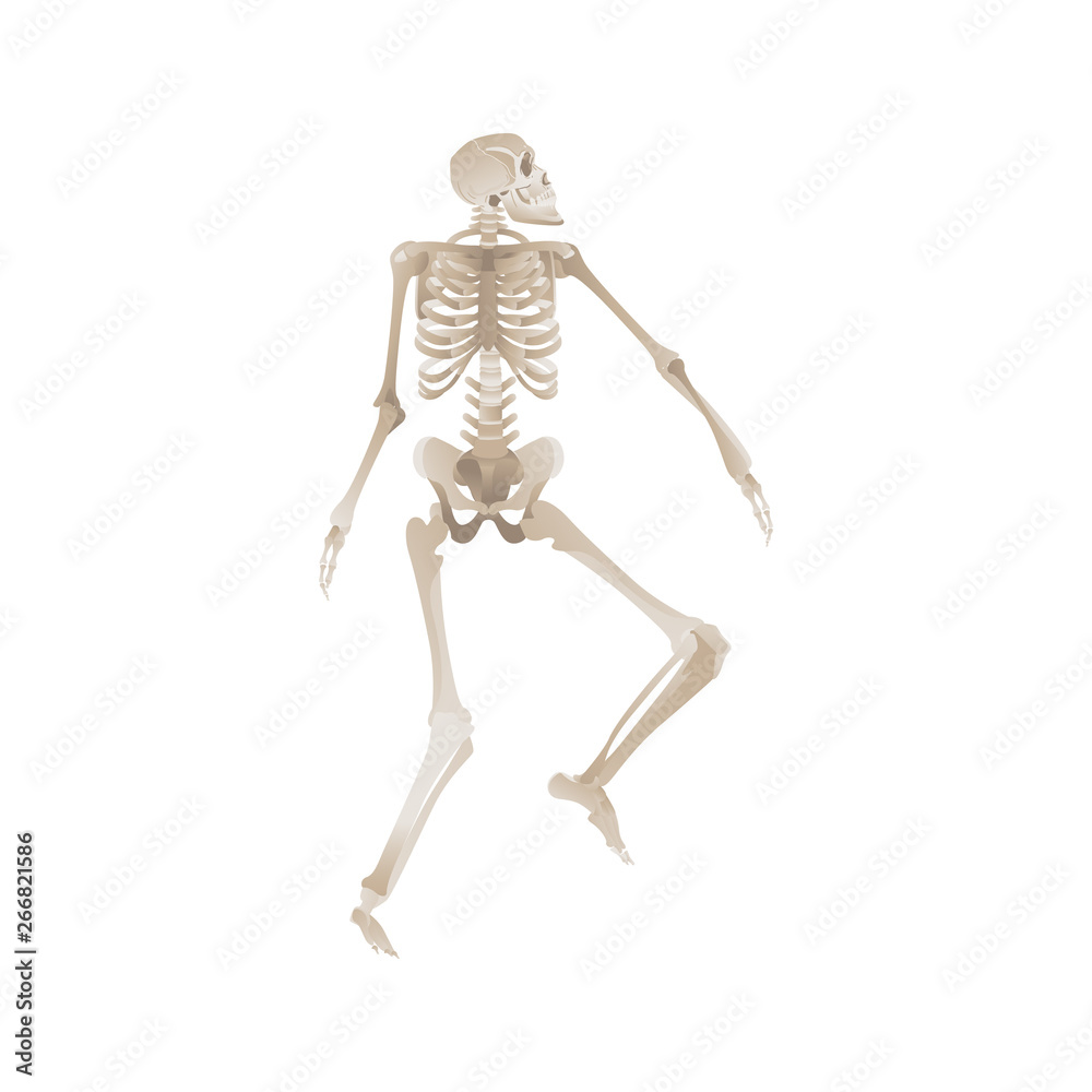 Vector flat funny human skeleton dancing icon Vector flat funny human skeleton dancing icon