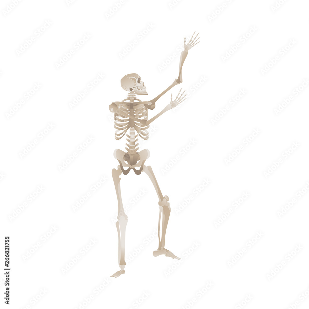 Vector flat funny human skeleton dancing icon Vector flat funny human skeleton dancing icon