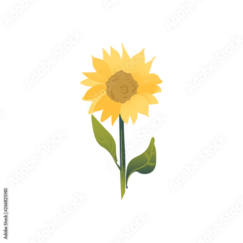 Cartoon flat summer flower of yellow and green sunflower.