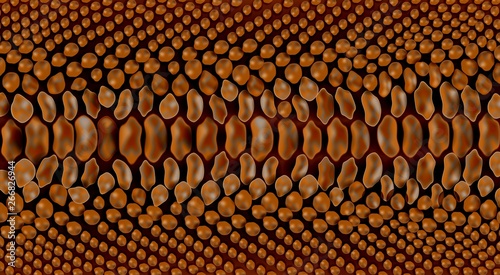 Vector snake brown reptile skin texture background
