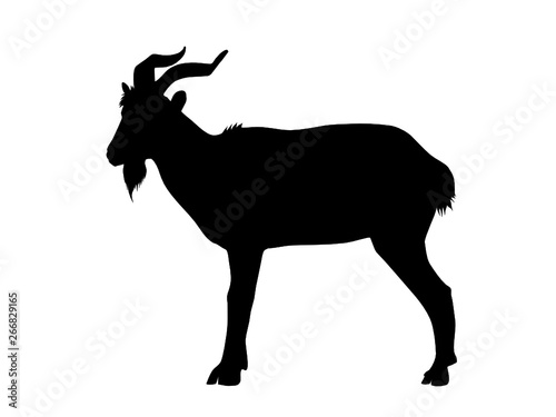 Goat Silhouette Vector Isolated © Pryderi System