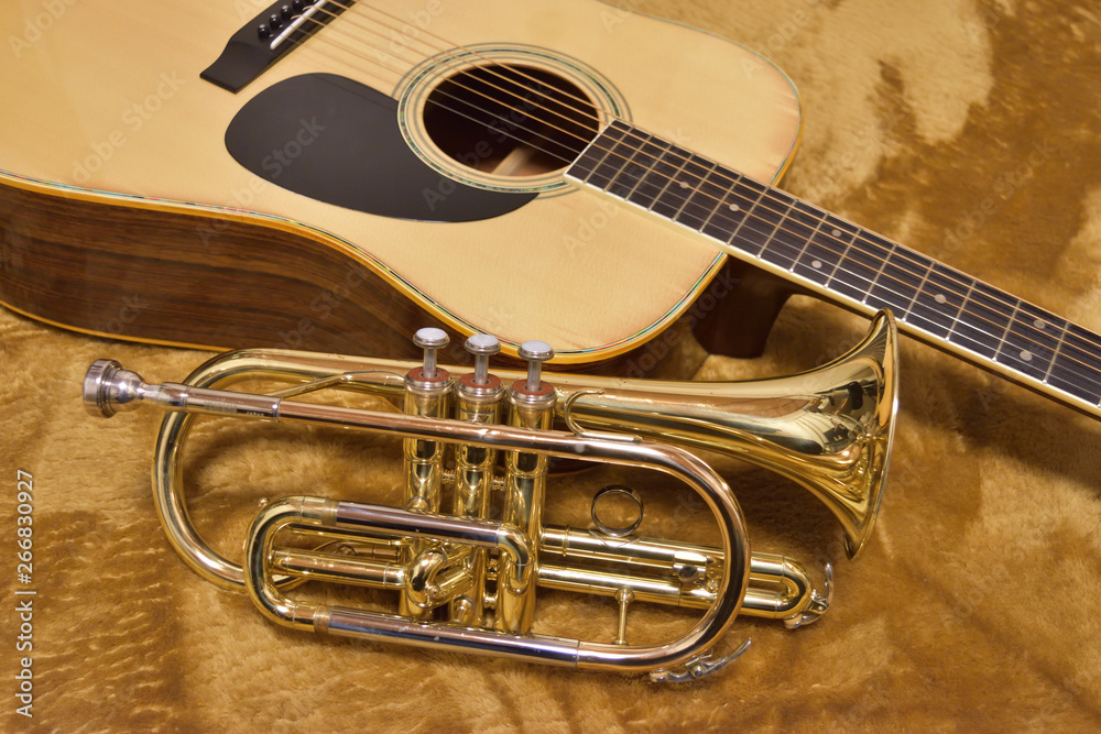 Naklejka premium a cornet and guitar on carpet
