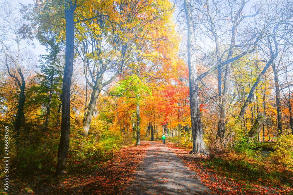 Fototapeta premium Beautiful Autumn Scenery in Park in Munich, Germany