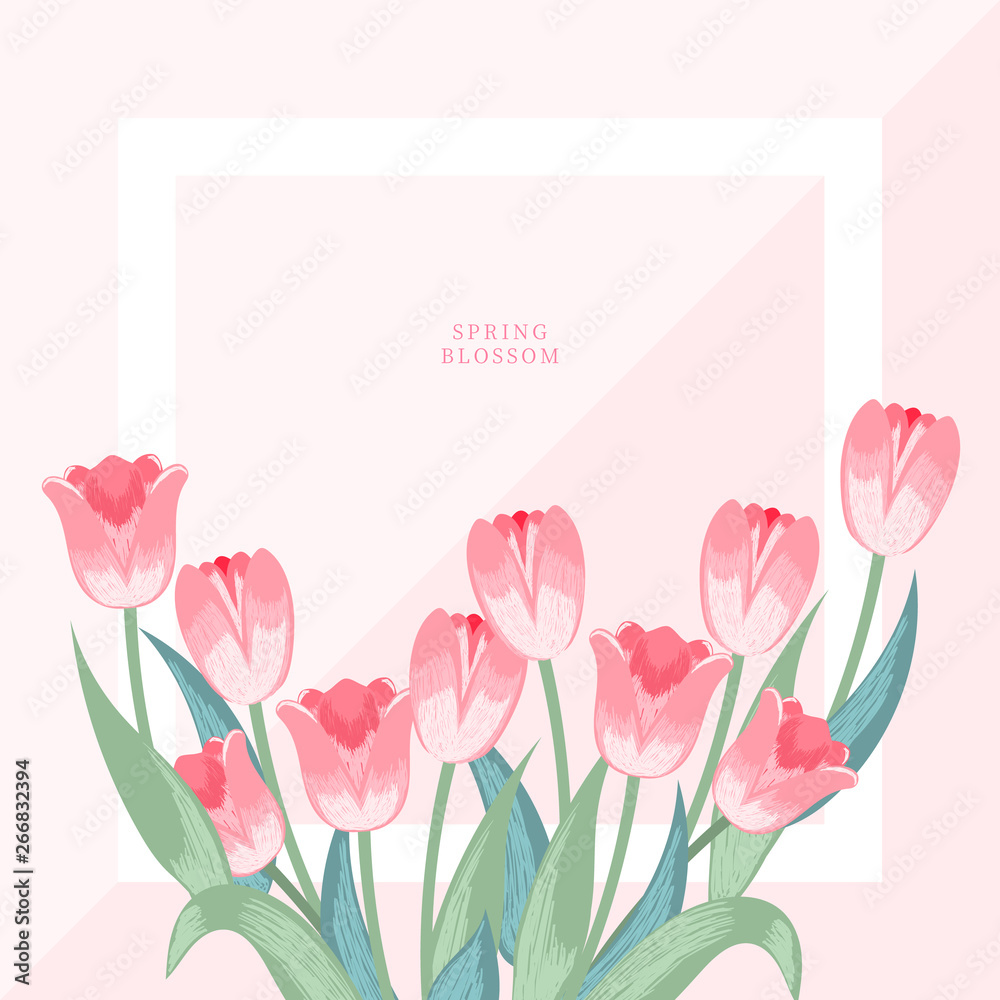Spring blossom, Flower illustration, frame