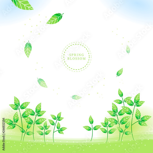 Spring blossom, Flower illustration, frame