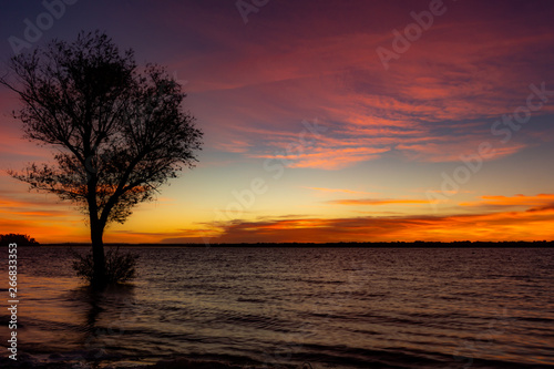 Sunset on beach. Tree on othe water.