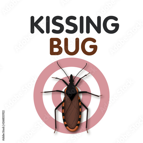 Kissing Bug, sucks blood from its victim's face, can carry Trypanosoma cruzi parasite that causes Chagas disease, a serious public health concern, some have red, yellow, tan markings.