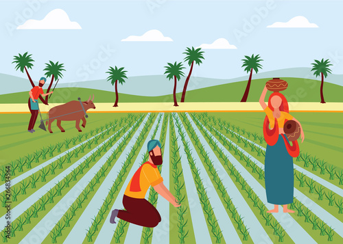 Indian male and female farmers working in paddy field flat cartoon style