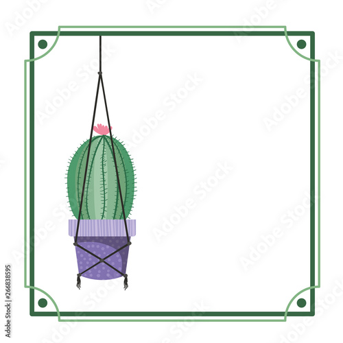 frame with cactus on macrame hangers icon