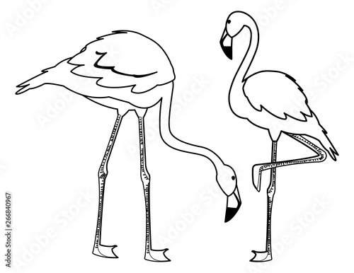 Obraz na plátně exotic flemish couple birds with different poses