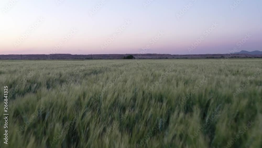 Arizona Farmland Arizona Farmland