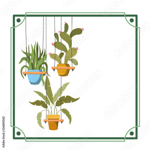 frame with houseplants on macrame hangers