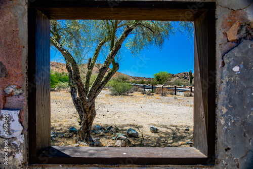 southwest desert window and tree