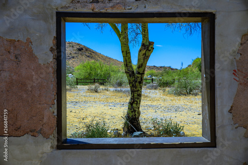 looking out from the past