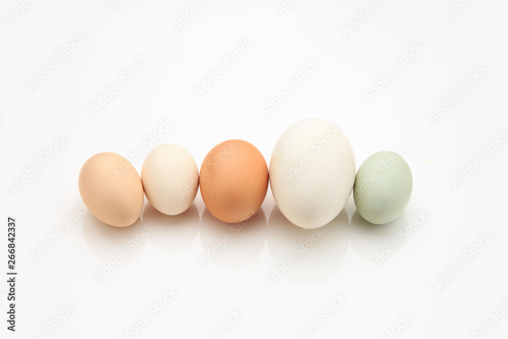 A variety of eggs, goose eggs close-up