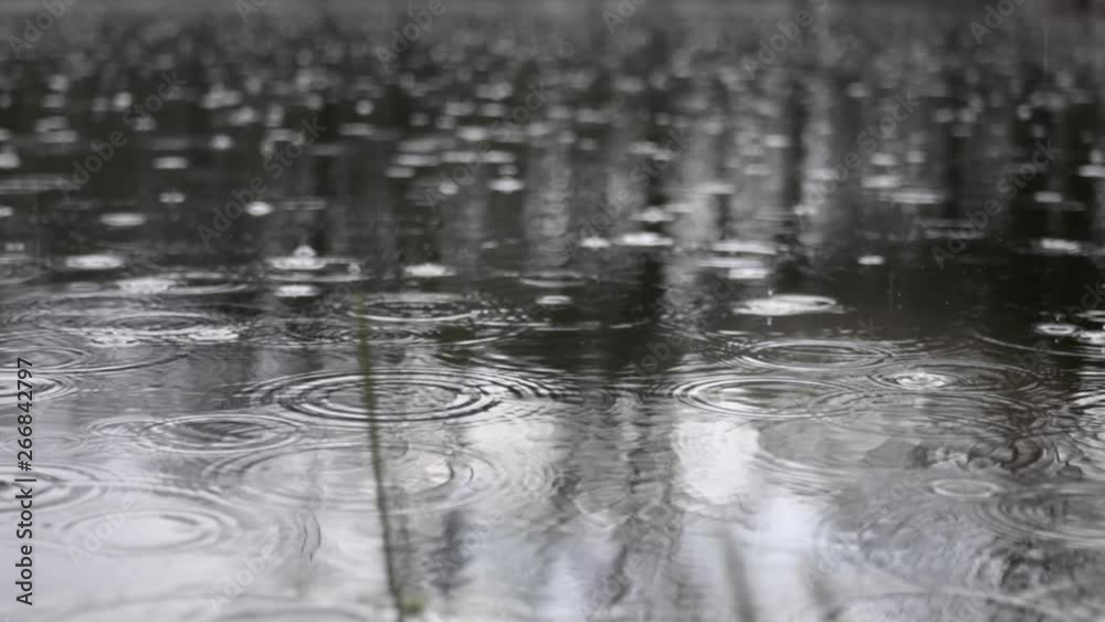 Rain water drop falling to the lake surface. Beautiful reflection. Slow motion 150 fps Rain water drop falling to the lake surface. Beautiful reflection. Slow motion 150 fps