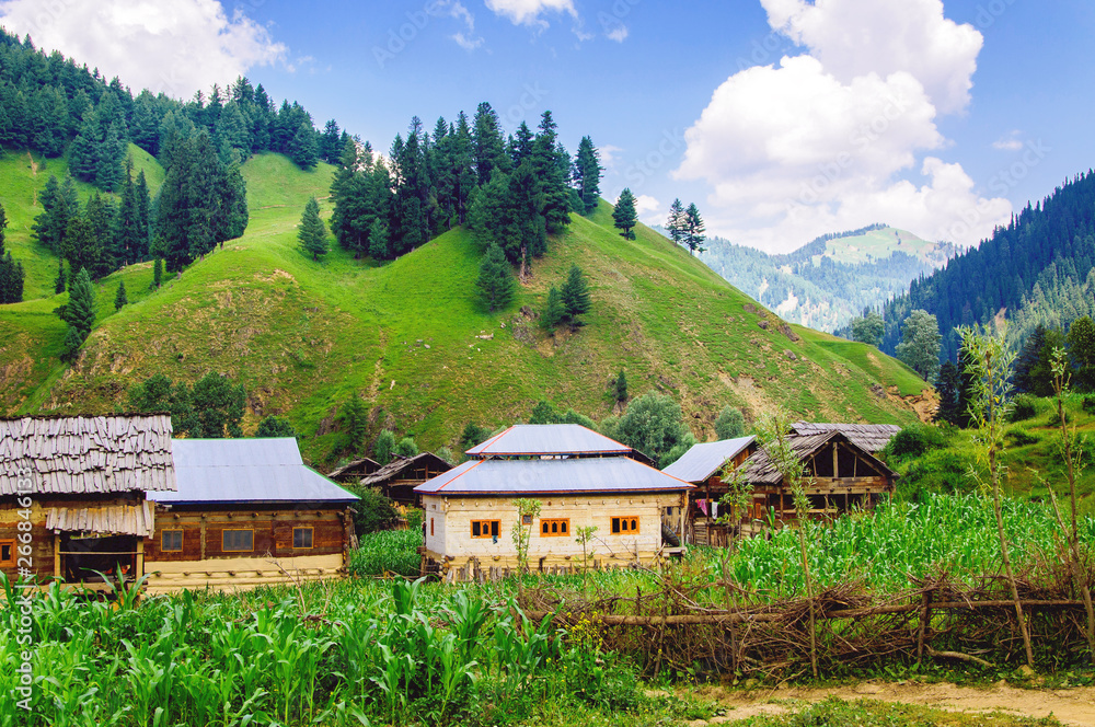 Fototapeta premium Houses in the Kashmir valley 