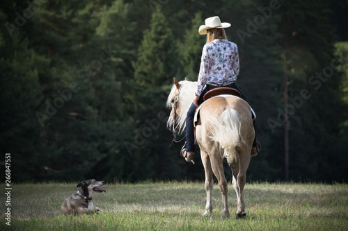 Ein Cowgirl reitet mit ihrem Haflinger und einem Husky durch den Wald