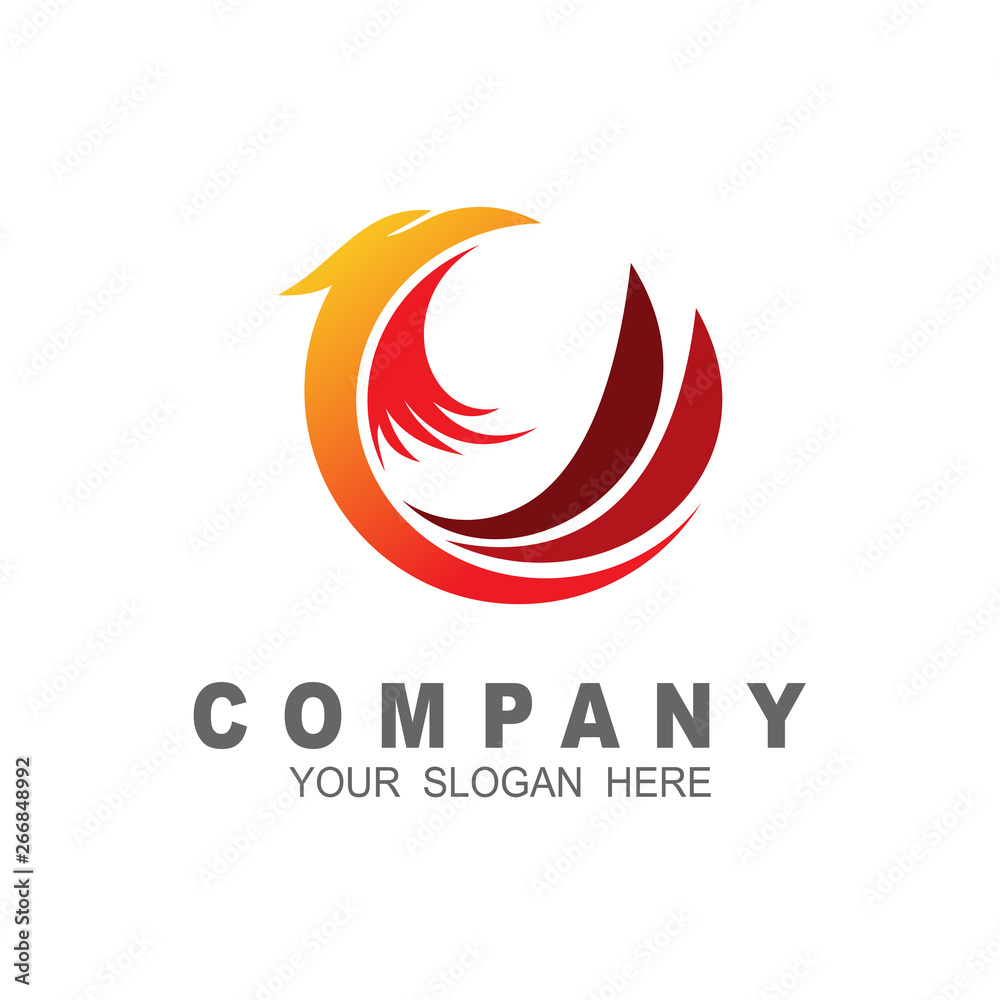 Obraz premium Falcon design template. Eagle circle logo, art vector design