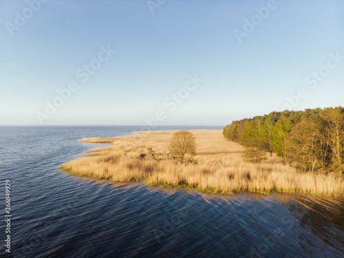 Fototapeta Naklejka Na Ścianę i Meble -  Calm ocean or lake with reeds along the shoreline