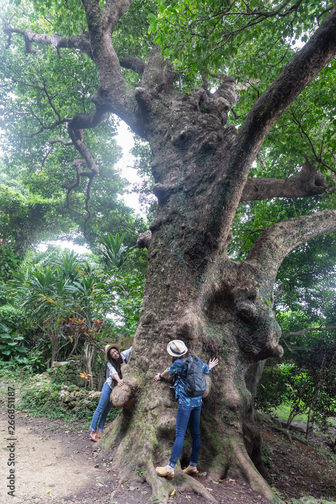 Fototapeta premium 沖縄を旅する二人の女性