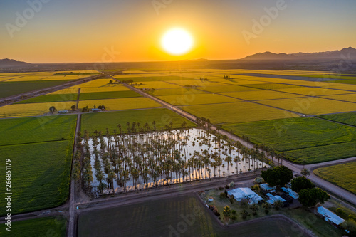 Yuma Irrigated Farmland