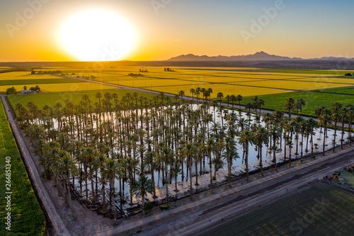 Yuma Irrigated Farmland